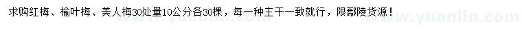 求購紅梅、榆葉梅、美人梅