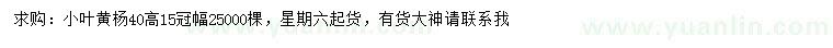 求購(gòu)高40公分小葉黃楊