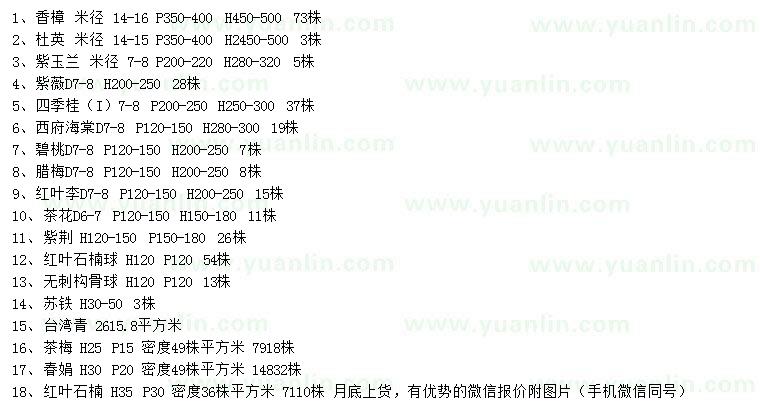 求購(gòu)香樟、杜英、紫玉蘭等