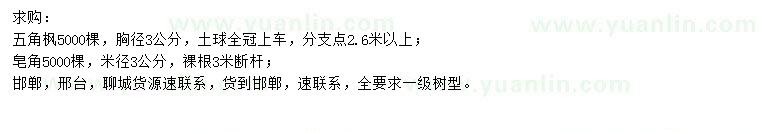 求購(gòu)胸徑3公分五角楓、米徑3公分皂角