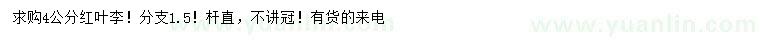 求購4公分紅葉李