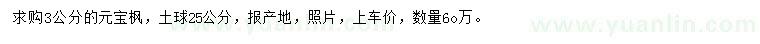求購3公分元寶楓