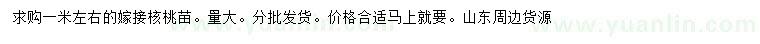 求購1米左右嫁接核桃苗