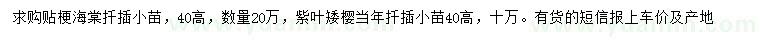 求購高40公分貼梗海棠