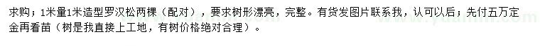 求購1米量1米造型羅漢松