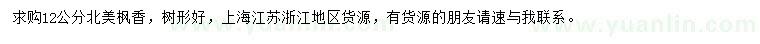 求購12公分北美楓香