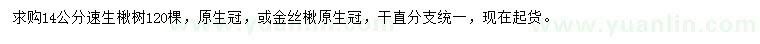 求購(gòu)14公分速生楸樹(shù)或金絲楸