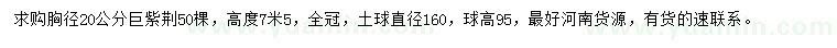 求購胸徑20公分巨紫荊