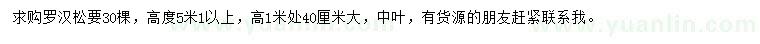 求購高度5米1以上羅漢松