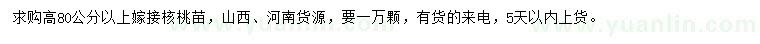求購高80公分以上嫁接核桃苗