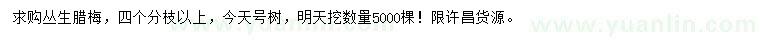 求購叢生臘梅
