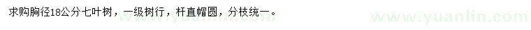 求購胸徑18公分七葉樹