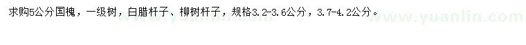 求購(gòu)國(guó)槐、白臘桿子、柳樹(shù)桿子