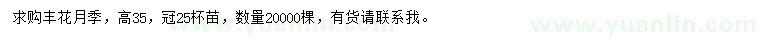 求購高35公分豐花月季