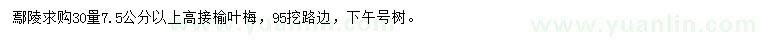 求購30量7.5公分以上高接榆葉梅