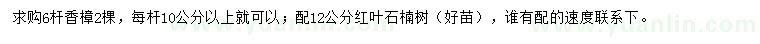 求購(gòu)6桿香樟、12公分紅葉石楠樹(shù)