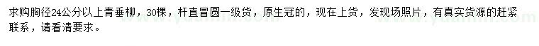 求購(gòu)胸徑24公分以上青垂柳