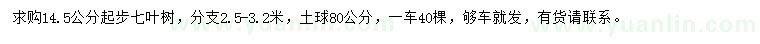 求購14.5公分起步七葉樹