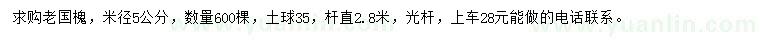 求購米徑5公分老國槐
