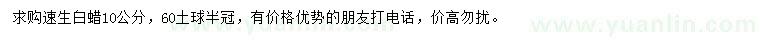 求購(gòu)10公分速生白蠟