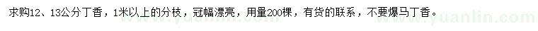 求購12、13公分丁香