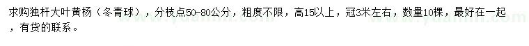 求購冠3米左右獨桿大葉黃楊（冬青球）