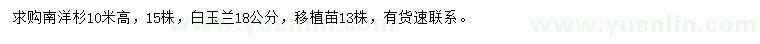求購(gòu)高10米南洋杉、18公分白玉蘭