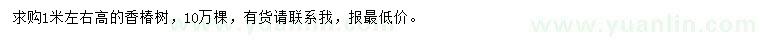 求購高1米左右香椿樹