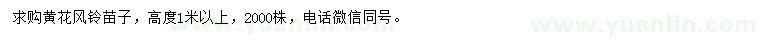 求購(gòu)高度1米以上黃花風(fēng)鈴苗子