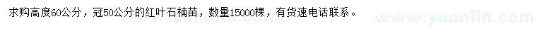 求購(gòu)高度60公分紅葉石楠苗