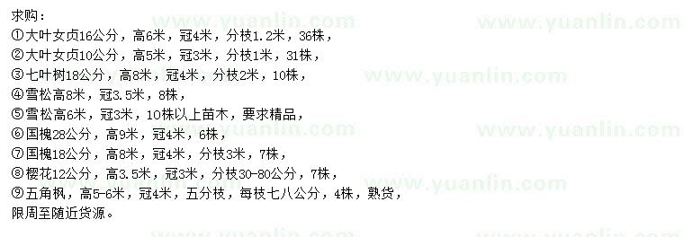 求購(gòu)大葉女貞、七葉樹、雪松等