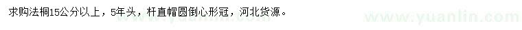 求購15公分以上法桐
