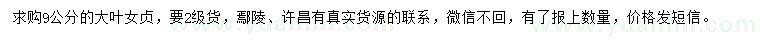 求購9公分大葉女貞