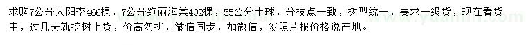 求購7公分太陽李、絢麗海棠