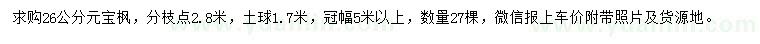 求購(gòu)26公分元寶楓