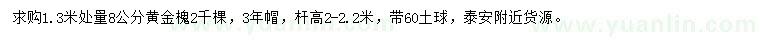 求購1.3米處量8公分黃金槐