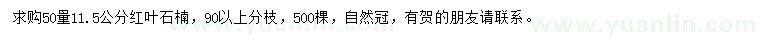 求購(gòu)50量11.5公分紅葉石楠
