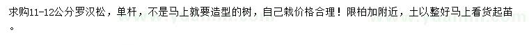 求購11-12公分羅漢松
