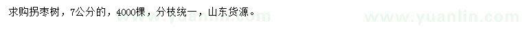 求購7公分拐棗樹