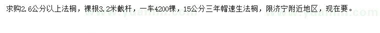 求購2.6公分以上法桐、15公分速生法桐