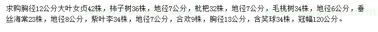 求購大葉女貞、柿子樹、枇杷等