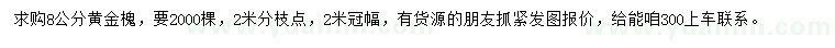 求購8公分黃金槐