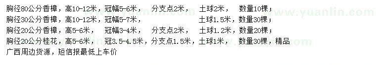 求購胸徑20、30、80公分香樟、20公分桂花