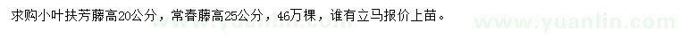 求購(gòu)高20公分小葉扶芳藤、高25公分常春藤