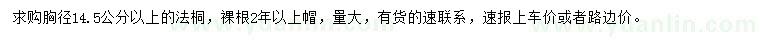 求購(gòu)胸徑14.5公分以上法桐