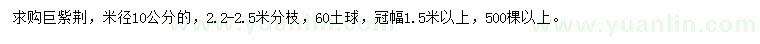 求購米徑10公分巨紫荊