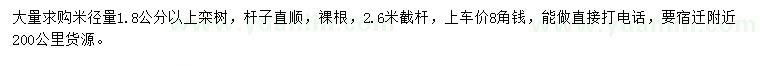 求購米徑量1.8公分以上欒樹