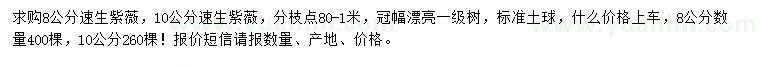 求購8、10公分速生紫薇