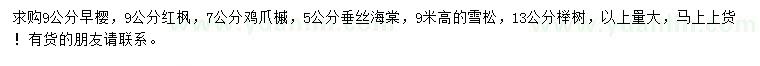 求購早櫻、紅楓、雞爪槭等