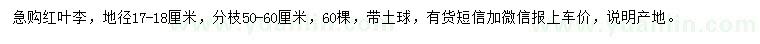 求購(gòu)地徑17-18公分紅葉李